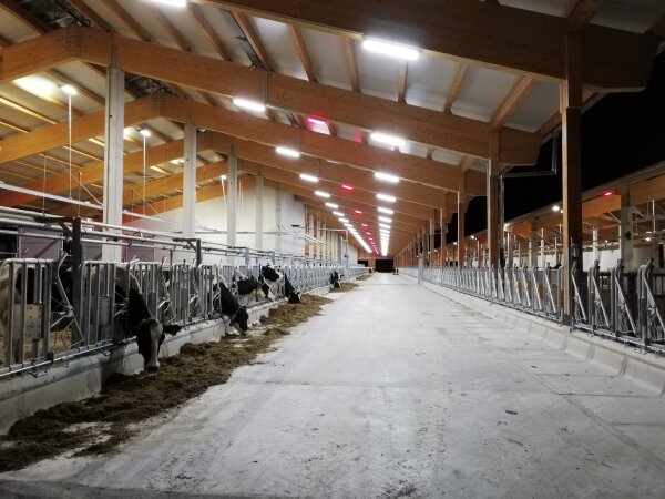 Set Boxenstall bis 150 m²